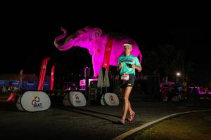 BIB: 
                            <button type="button" onclick="openModal(26533964)" class="btn btn-primary btn-sm float-right btn-popup" data-toggle="modal" data-target=".modal-high-quality">
                        <i class="fas fa-shopping-cart"></i> Add to Cart
                    </button>
                                            <button type="button" onclick="isThisMe(26533964, true)" class="btn btn-success btn-sm float-right btn-popup btn-isme hidden" data-toggle="tooltip" data-placement="bottom" title="นี่คือรูปของคุณใช่ไหม คลิกที่นี่เพื่อเอาเข้าอัลบั้ม">
                        <i class="fas fa-plus"></i> Add to album
                    </button>
                    <button type="button" onclick="isThisMe(26533964, false)" class="btn btn-warning btn-sm float-right btn-popup btn-isnotme hidden">
                        <i class="fas fa-ban"></i> Remove from album
                    </button>